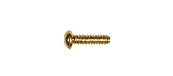 Switch Mounting Screw Gold