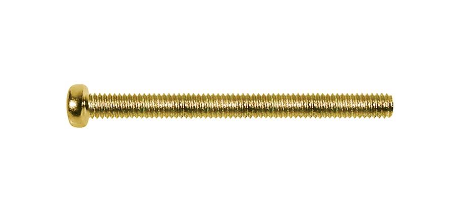 Humbucker Pickup Screw Gold