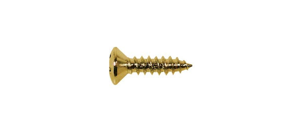 Pickguard screw gold
