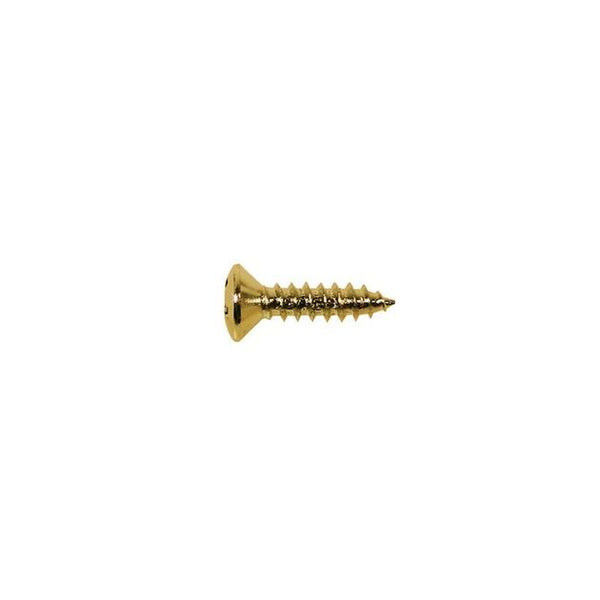 Pickguard screw gold