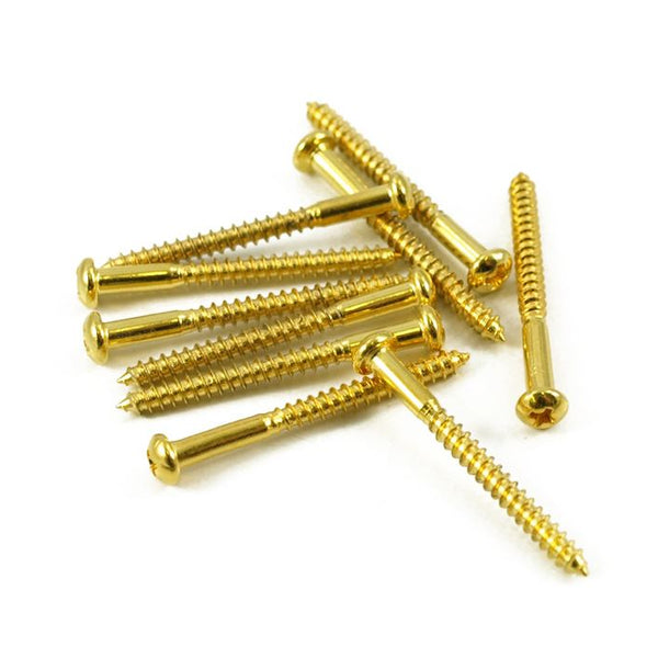 Single Coil Pickup mounting screw