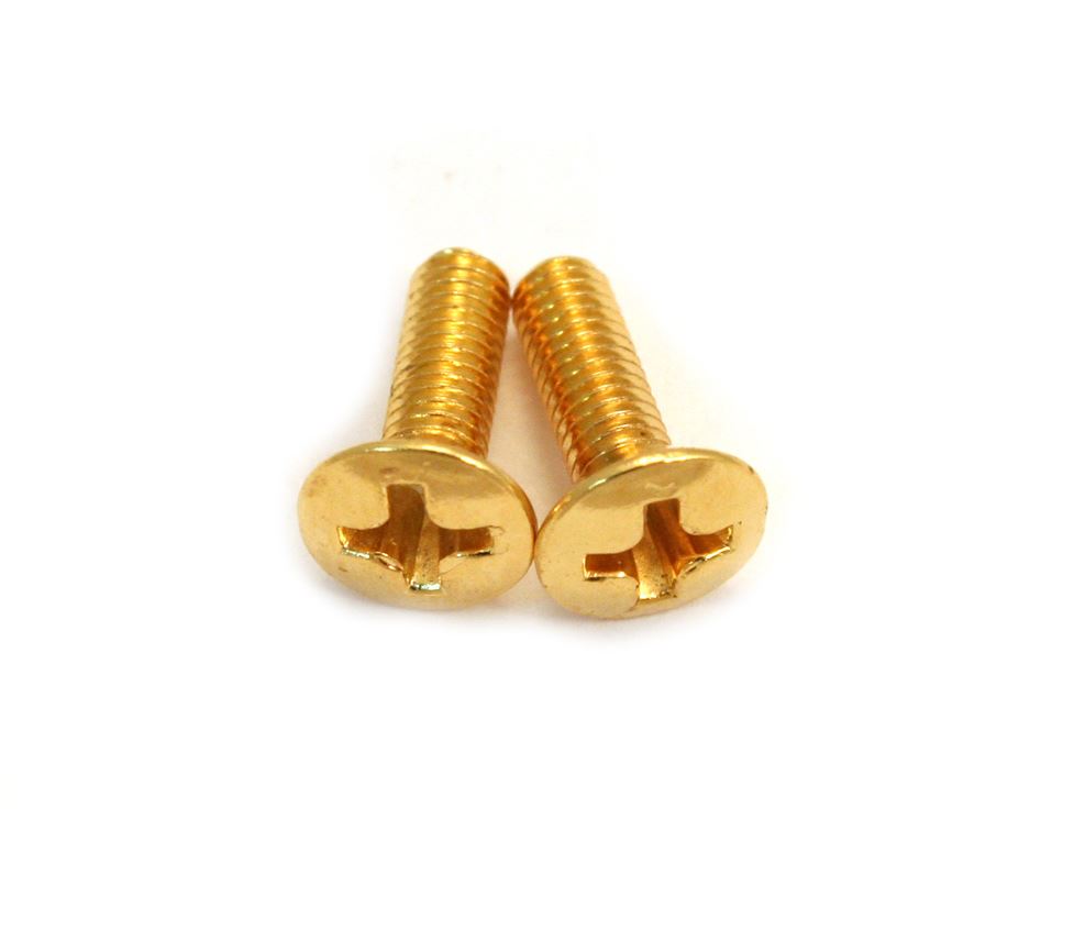 Switch Mounting Screw Gold