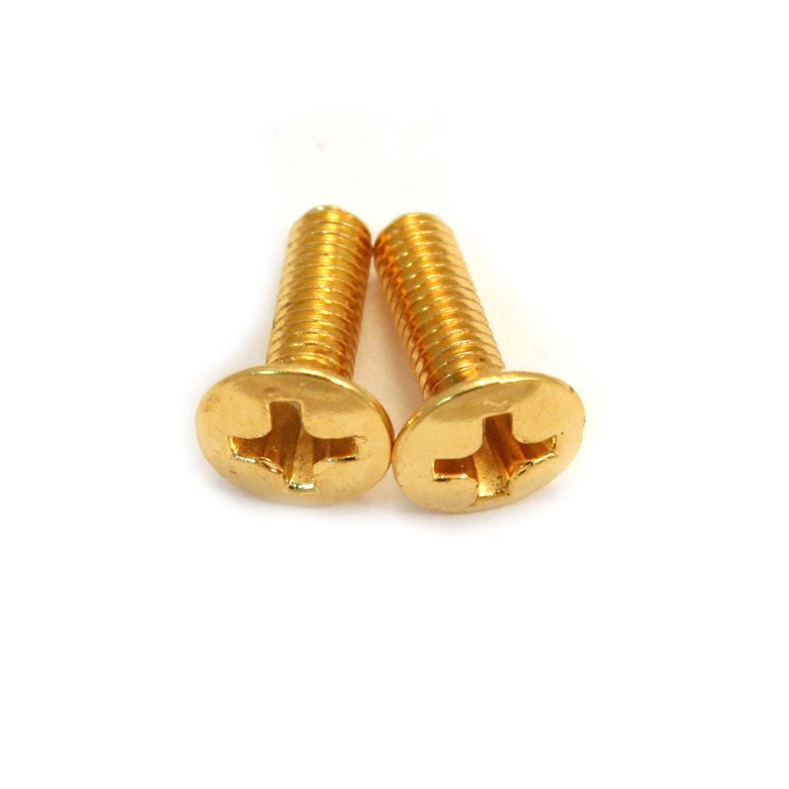 Switch Mounting Screw Gold